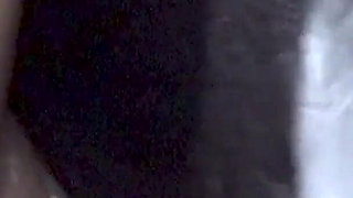 Doggy with the Machine