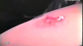 Sm Compilation - Compilation Of Vintage Bdsm Videos