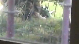 The Outdoor Fuck