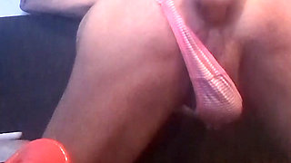 Jessie morning ritual