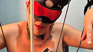 Pleasure Machine, More Objects to Play with