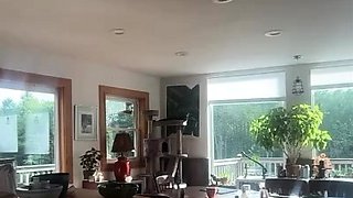 CIMA black and ebony