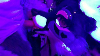 Webcam Amateur Blowjob Webcam Free Girlfriend Porn Video