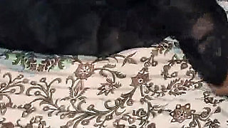 Beautiful Aunty Sex Video