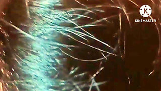 Brother in Law Fucked Sister in Law Very Hindi Clear Audio