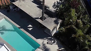 Jay Jay Pink's Wild Foursome - One Bed, Four People, No Limits