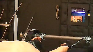 The Slave Gets Electrified