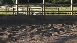 Trotting to Submission