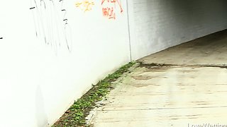 Brunette Flashing Her Titties And Pussy Outdoors In Public
