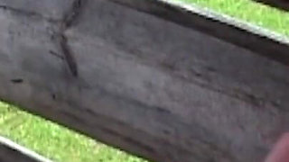 German teen extreme ass fucked