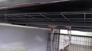 Redheaded Dina Ket Gets Her Nipples Stretched