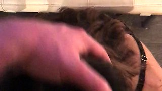 Cute brunette young hookup amateur teen blowjob