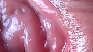 Close-up of a Plump Pussy