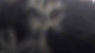 My Favorite Sport Is Fucking (full Movie Centoxcento)