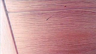 Amateur Webcam Babes Going Solo