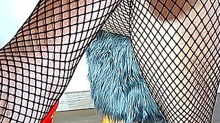 Misss a Catching You with Her Sexy Fishnets 1