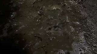 The Big Video