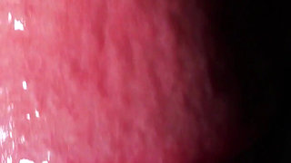 Goddess Anya Queen’s POV View Extreme Oral & Wet Asmr