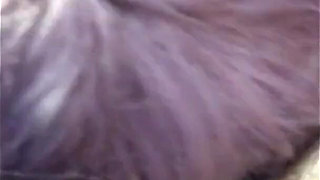 Ebony Wife Shared Sucks Two Cocks to Get Sperm for Her Tits