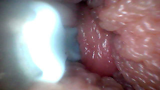 Extreme Proximity Turns Watcher Into Active, Hungry Participant