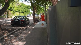 Nosy Neighbor, Hammock Shaker Part 1 1 - RK Prime