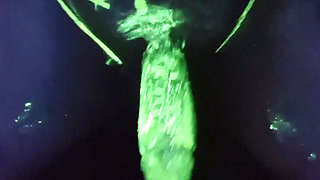 Glow in the dark
