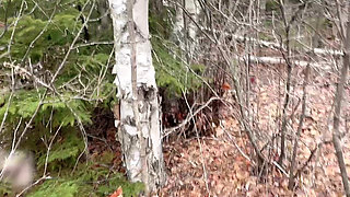 Pee Sexy on the Forest so Cool