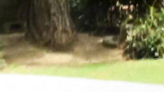 Cutesy bunny - housewife trailer - Screw My Wife Club