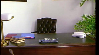Feuchte Muschis (1995) - Full Movie