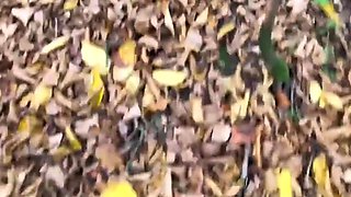 Cosplay Party with Naughty Jason