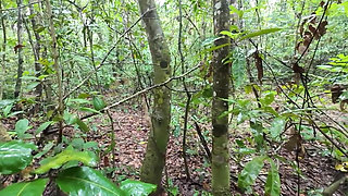 Thai Girl Walks and Brags About Picking Mushrooms Anyway, Peeing in the Forest Thai Voice