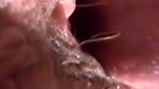 Threesome outdoor with some anal fuck, and strap on