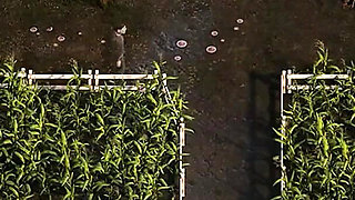 The Genesis Order V47102 Part 127 Horny MILF by Loveskysan69