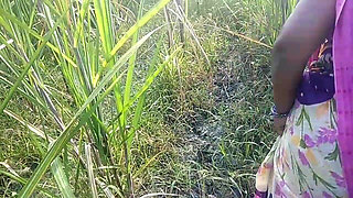 Indian Desi Porn Scene in Sugarcane Garden