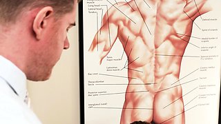 Twink is examined and bred by doctor