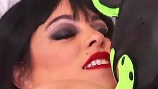 Playful Play with Pup