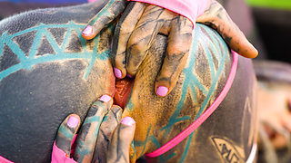 Big Cock Anal Fucking Naughty Horny Hippie Slut