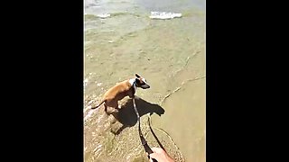 Mature British MILF gets naughty outdoors at Paiko Fishpond in East Oahu, Hawaii
