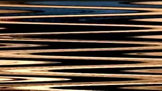 Pregnant amateur asian porn giving POV blowjob