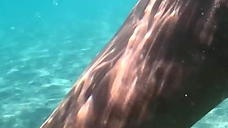 Naked MILF Swimming with Anal Plug Underwater