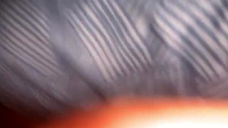 Step Mom Tina Baby Rough Missionary Sex - Big Natural Tits Homemade HD