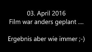 Deutscher Amateur bekommt eine berraschung nach Ostern