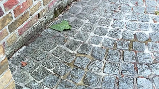 Farmgirl Pisshole Compilation 2 - She Pees Everywhere