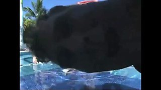 Cabo Returns: Part 10 Finale - Dee Williams, Jenni Lee & Princess Donna in Outdoor BDSM Anal Bondage
