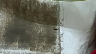 Indian College Girl Ass Hard Fucked Oiled