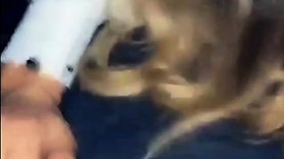 Cherie Snaps Sloppy Blowjob In The Car