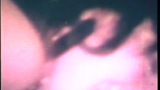 Everyone Inside My Ass