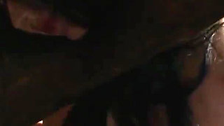 Submissive and whipped