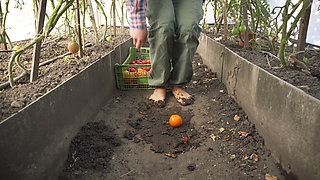 Squashing Tomatoes Barefoot in the Dirt Asmr