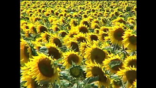 Extreme Sex With A Princess